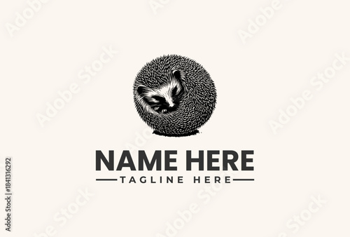 Prickly hedgehog curled into round ball with textured black spines isolated. Animal concept