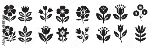 collection of botanical flower illustrations silhouette
