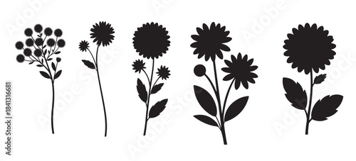 collection of dark floral silhouettes 