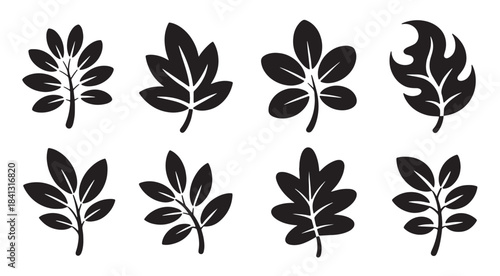 collection of nine black leaf silhouettes