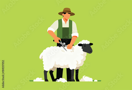 A farmer shears a sheep, with wool piles on the ground