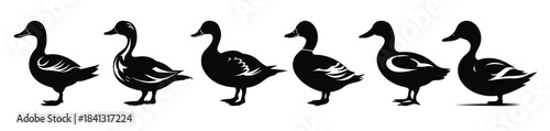 duck silhouette vector set goose black silhouettes bundle