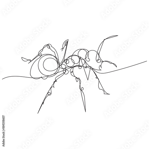 continuous line art drawing of ant animal