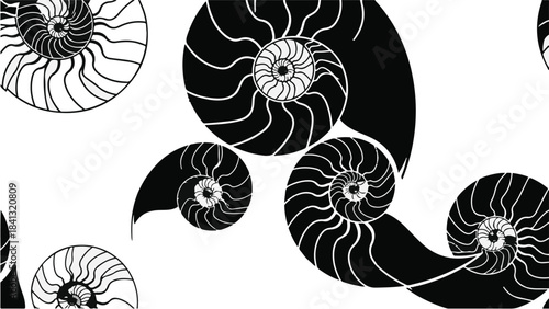 Black and white nautilus shells spiral pattern seamless design element for backgrounds textures and creative projects