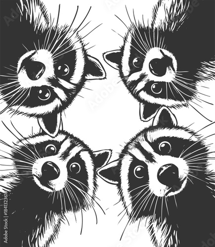 three raccoons peering downward with wide-eyed expressions, ideal for humor or wildlife themes sketch engraving generative ai vector illustration. Scratch board imitation. Black and white image.