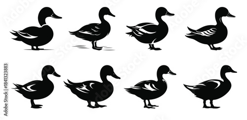 duck silhouette vector art set goose black silhouettes bundle