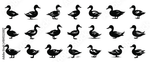 duck silhouette clipart bundle