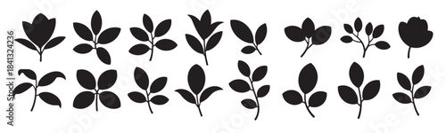 collection of botanical leaf and flower silhouettes