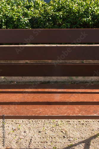 Wood bench at the park with empty space for product or text. Natural concept image with hard light during morning.
