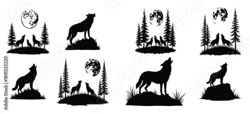 Black wolf silhouettes howling at moon and on rocks