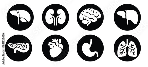 human organs and organs of the body icons set 