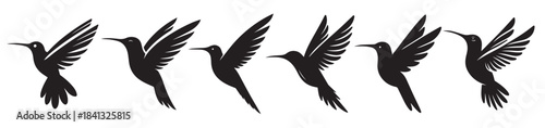  hummingbird black solid silhouette bundle isolated on white 