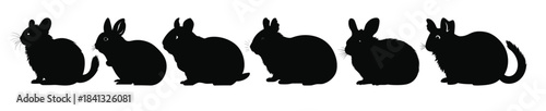  chinchilla silhouettes vector set hamster silhouette