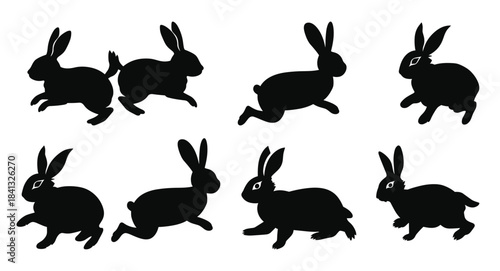  two rabbit are running silhouette vector set easter bunny