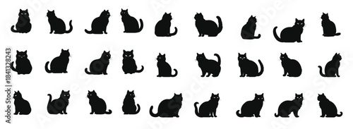 exotic shorthair cat silhouette clipart bundle