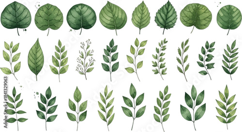 Watercolor set of various green leaves branches and foliage collection for botanical designs wedding invitations greeting cards posters home decor prints