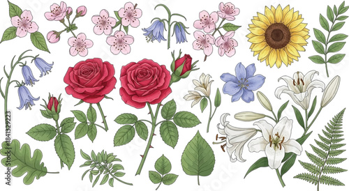 Set of beautiful watercolor flowers and leaves isolated on transparent background hand drawn flowers and plants cherry blossoms roses bluebells lilies sunflowers botanic