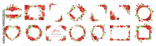 Collection set Beautiful Rose Flower and botanical leaf digital painted illustration for love wedding valentines day or arrangement invitation design greeting card