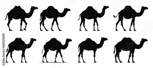 camels silhouettes clipart set camel silhouette black