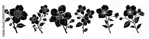 cherry blossom clip art silhouette set 