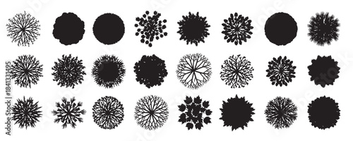 circular tree top view set foliage symbols for landscape