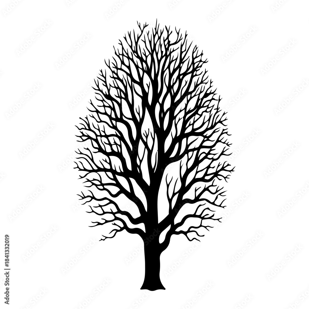 Obraz premium Detailed vector illustration of a bare winter tree silhouette with intricate branches, representing dormancy and natural beauty, ideal for seasonal designs and environmental themes and emblems