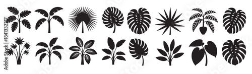  collection of tropical plant silhouettes