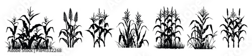 corn crops silhouette clipart set 