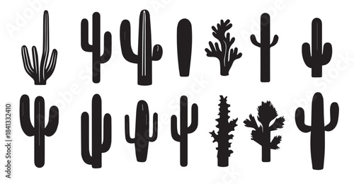 different type of cactus vector silhouette illustration