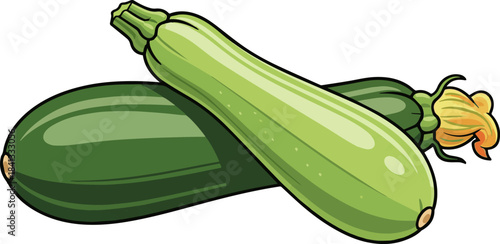 Create a Green zucchini pair vector art with white background.
