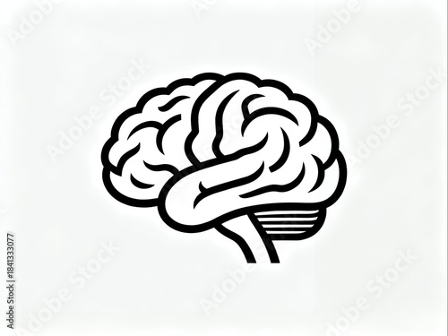 Illustration of the human brain 