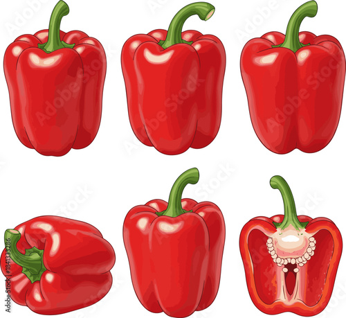 Create a kinds of deferent realistic fresh red bell pepper stands alone, featuring its vibrant color and green stem image is ideal for diverse design projects. vector art with white background.