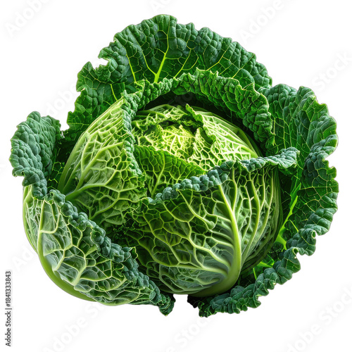 Vibrant Savoy Cabbage Against a Stark Black Background