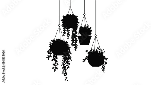 Hanging plants in black silhouette, potted flowers and foliage, indoor decorative plants, minimalist home decor, modern interior design element