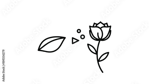 Minimalist line drawing of a single rose flower with leaves and geometric shapes on white background, simple elegant illustration for design and decoration