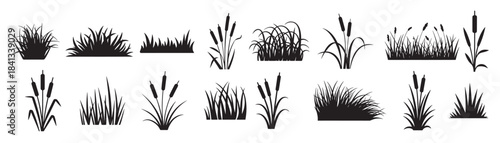 black silhouettes of various grass and cattail plants