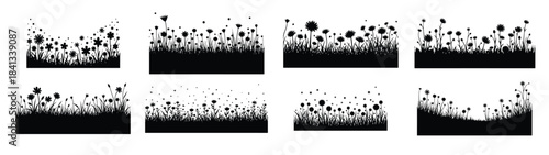 Black silhouettes of various wildflowers and grasses
