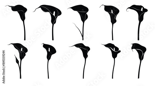 calla lily silhouette bundle 