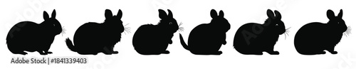 chinchilla black silhouettes vector set hamster silhouette