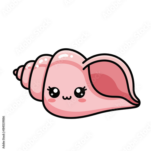 shelled animal popular kawaii illustration conch