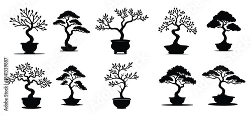Collection of black silhouette bonsai trees in pots