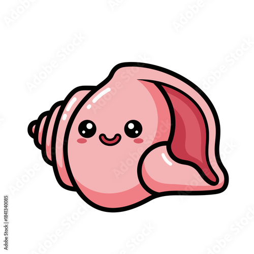 shelled animal popular kawaii illustration conch