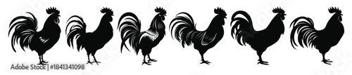 cock rooster silhouette vector bundle rooster silhouettes