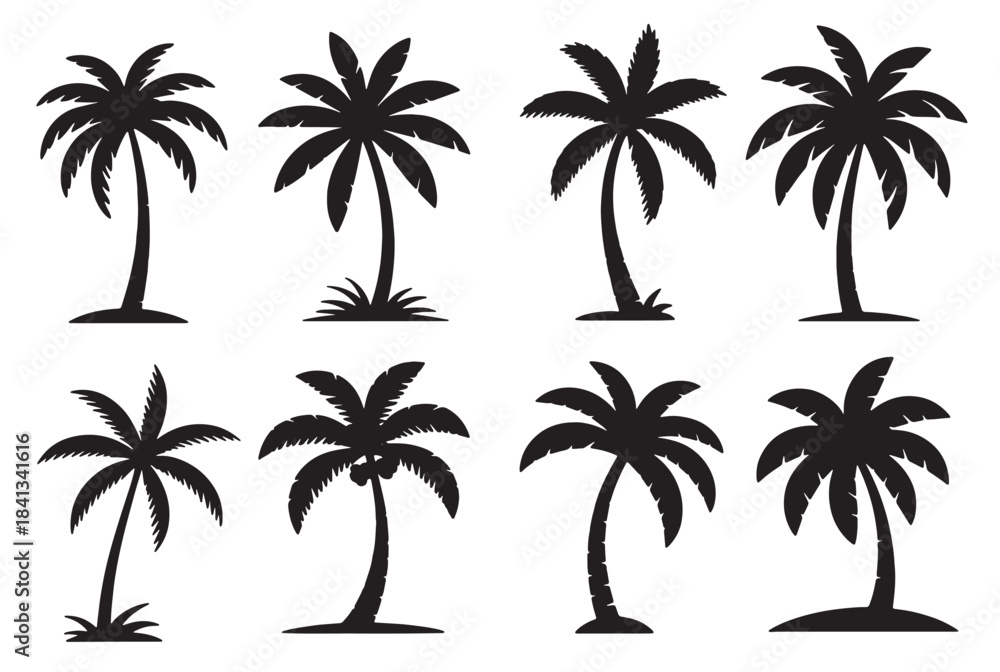 Fototapeta premium collection of black silhouette palm trees on a white background