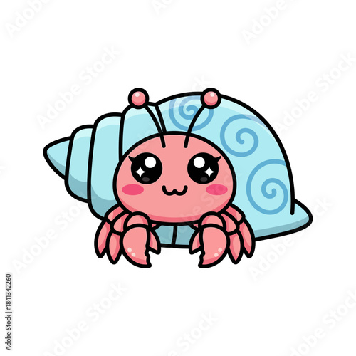set 2 shelled animal popular kawaii illustration hermit crab