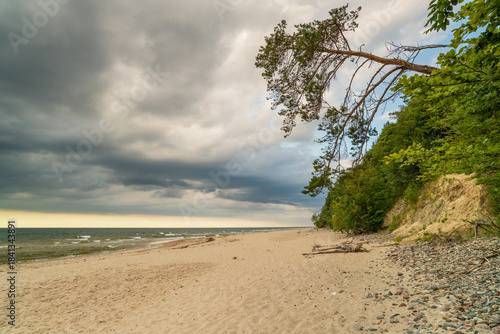 Fototapeta Naklejka Na Ścianę i Meble -  The landscape on the Baltic Sea.