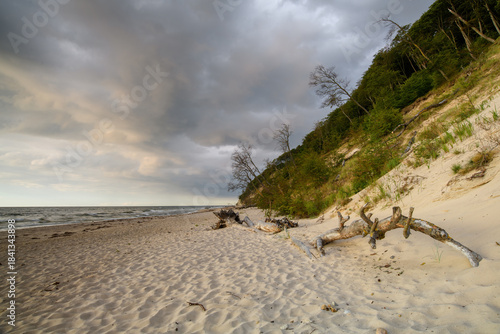 Fototapeta Naklejka Na Ścianę i Meble -  The landscape on the Baltic Sea.