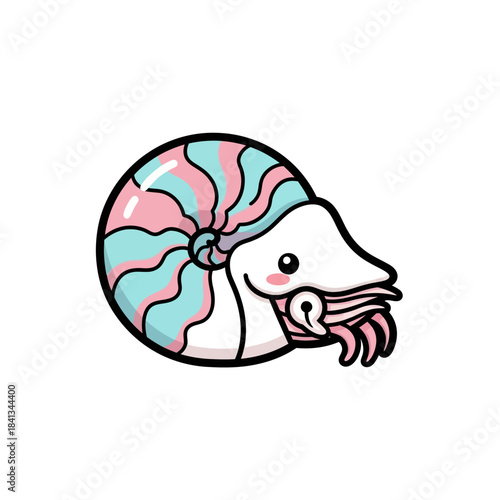 set 3 shelled animal popular kawaii illustration nautilus
