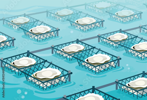 Row upon row of oysters in baskets submerged in blue water