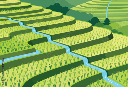 Lush green terraced fields watered by a flowing river